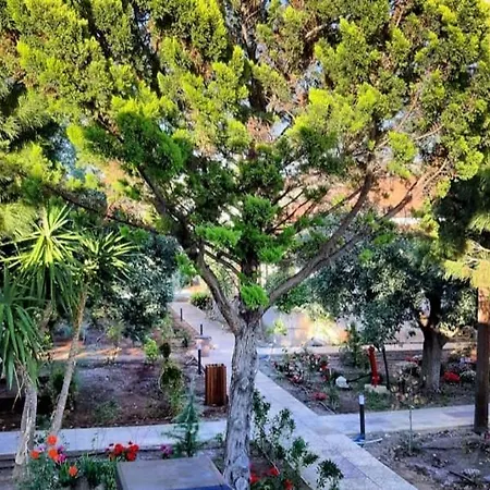 Park Luxury 度假居